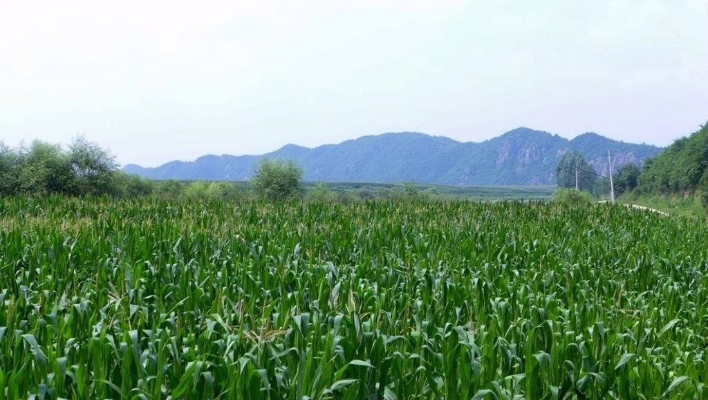 P1010016.JPG