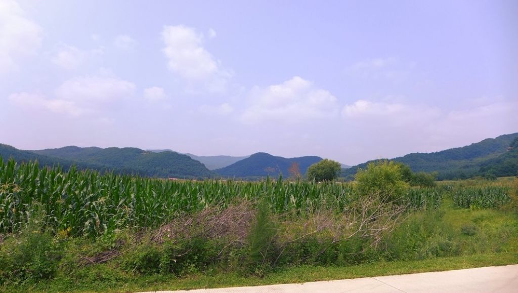 P1010018.JPG