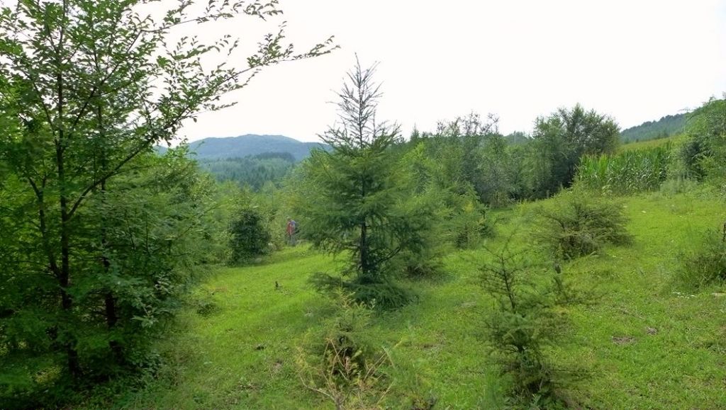 P1010023.JPG