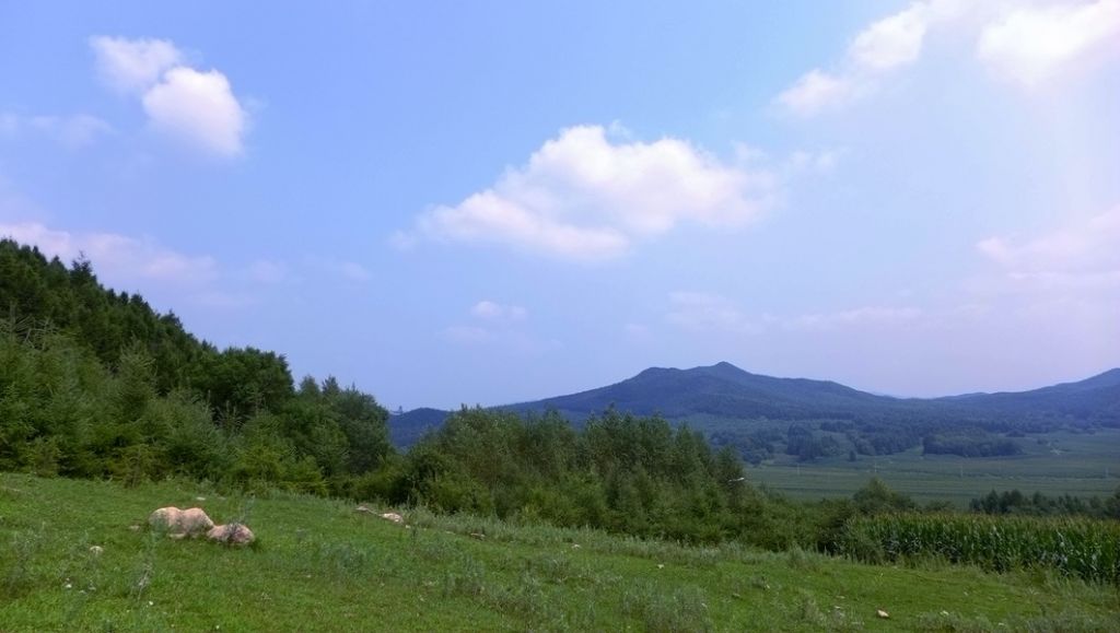 P1010024.JPG