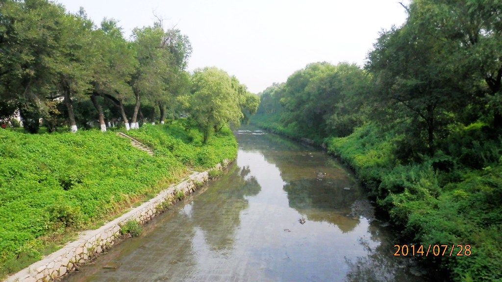 P7280455.jpg