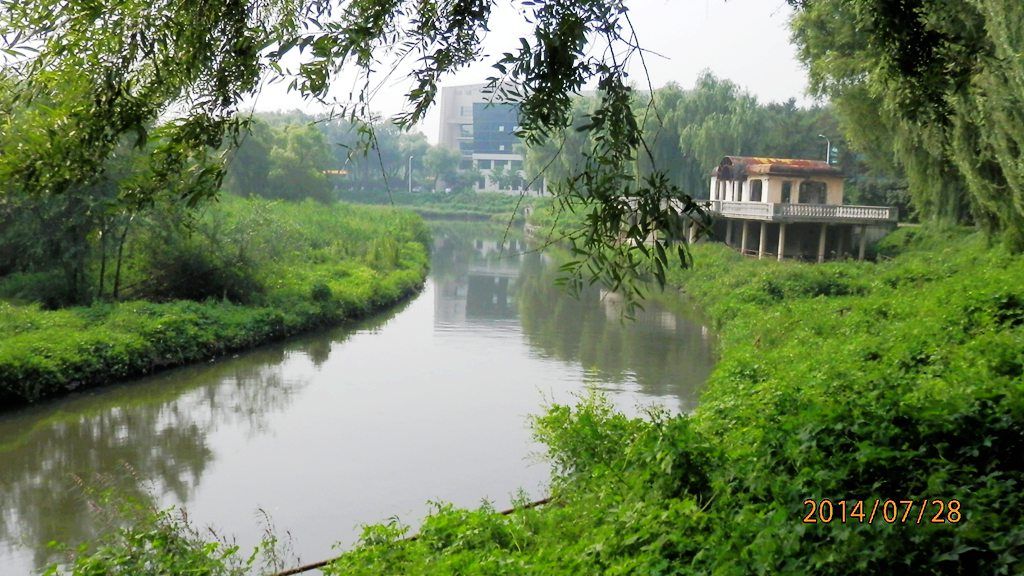 P7280471.jpg