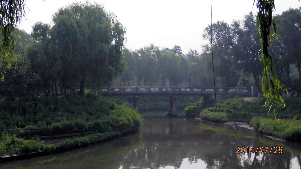 P7280475.jpg
