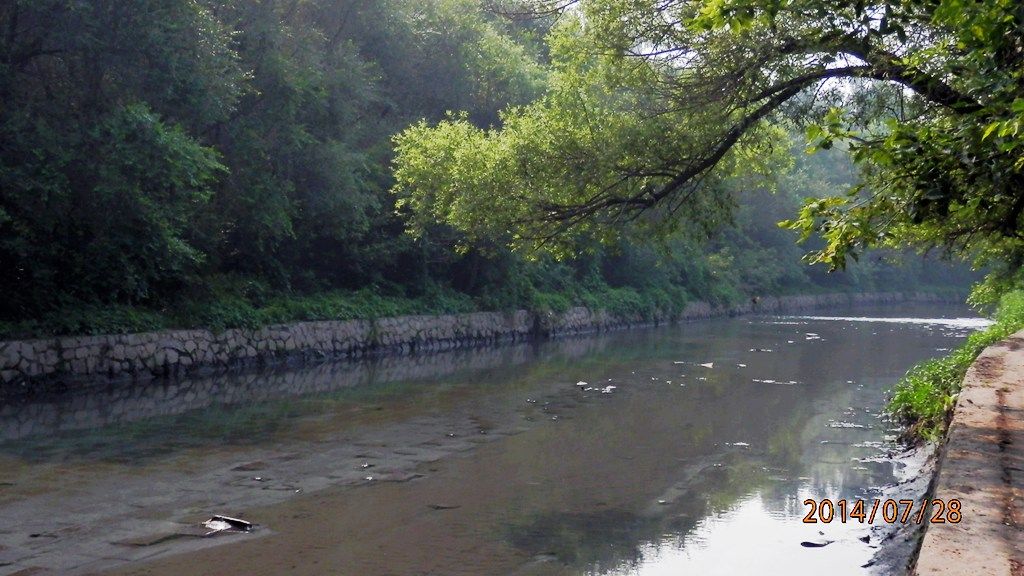 P7280478.jpg