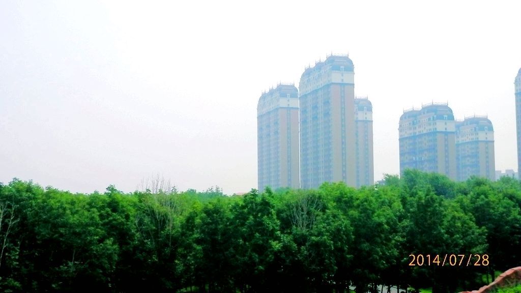 P7280505.jpg