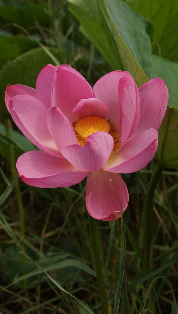 DSC06843.JPG