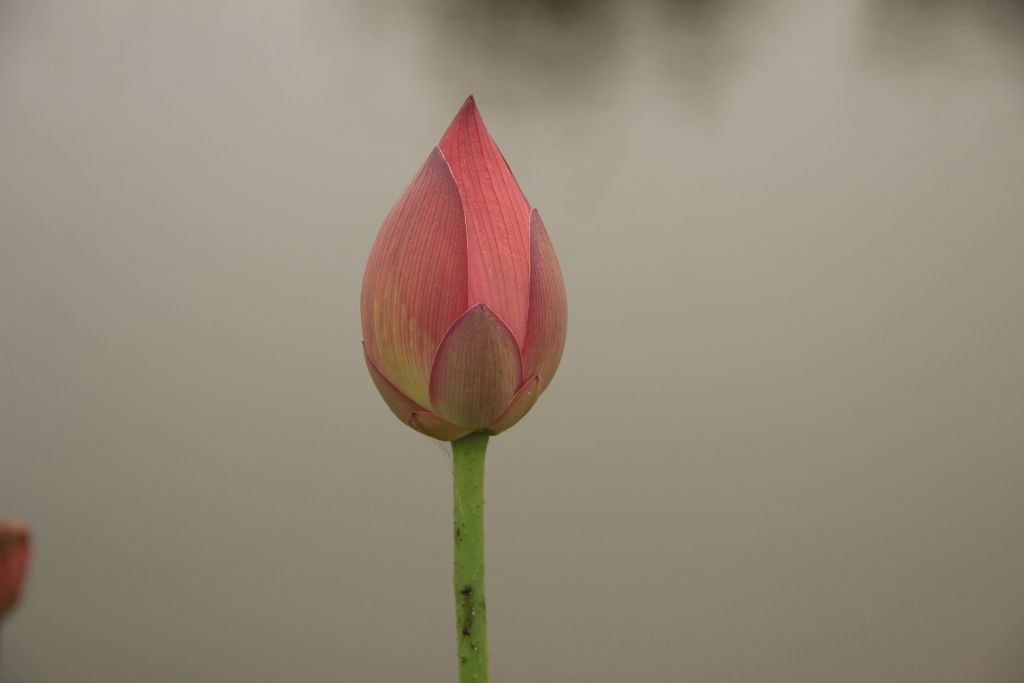 IMG_3280.jpg
