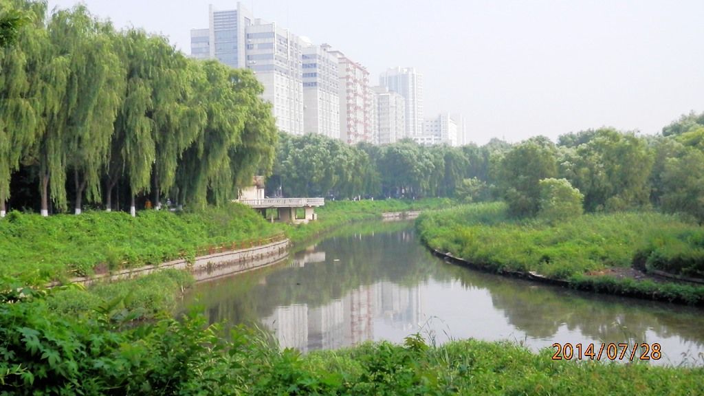 P7280446.jpg
