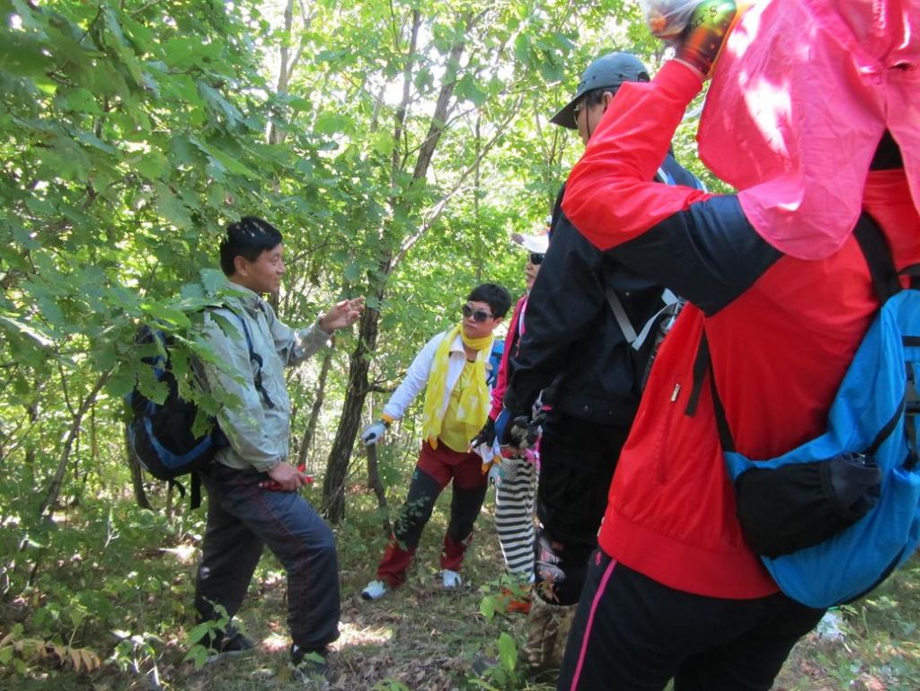 ���� 920 087.jpg