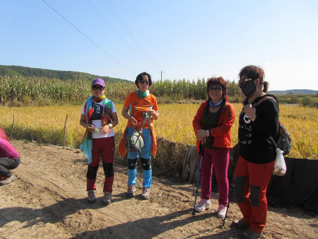 ���� 920 184.jpg