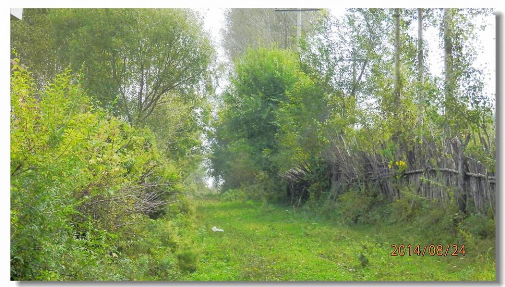 P8241014.jpg