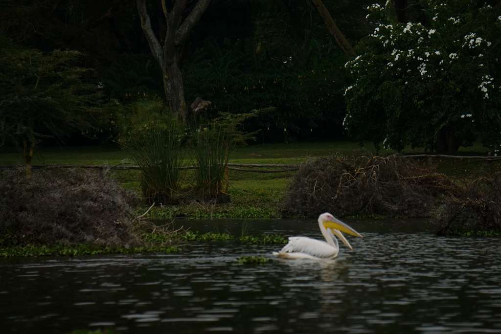 DSC01760.JPG