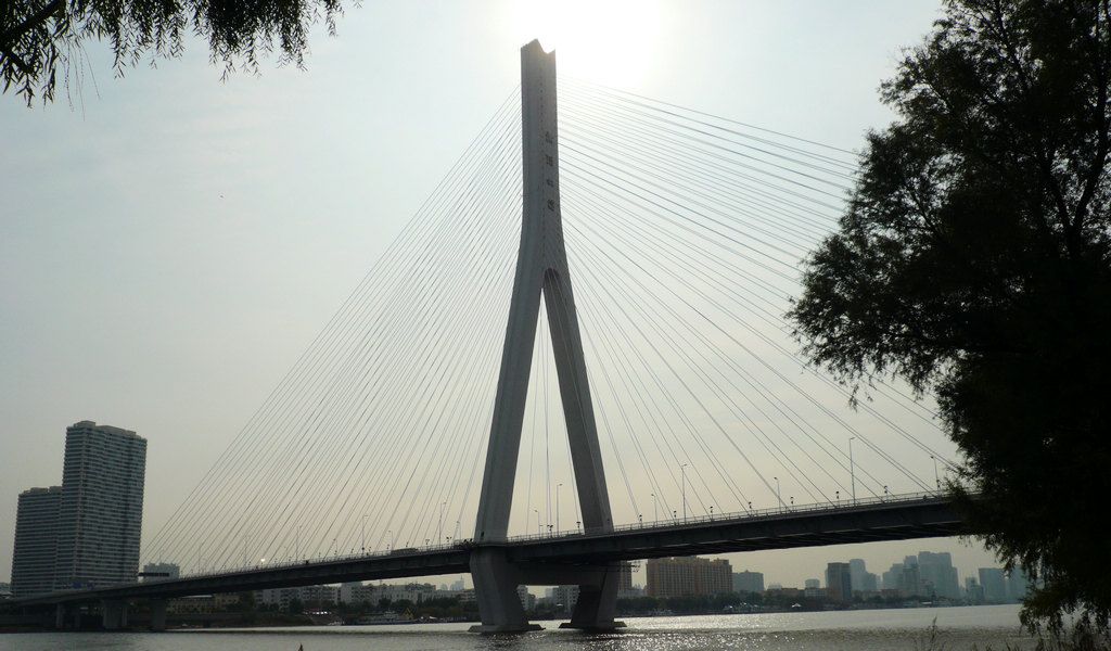 P1050786.JPG
