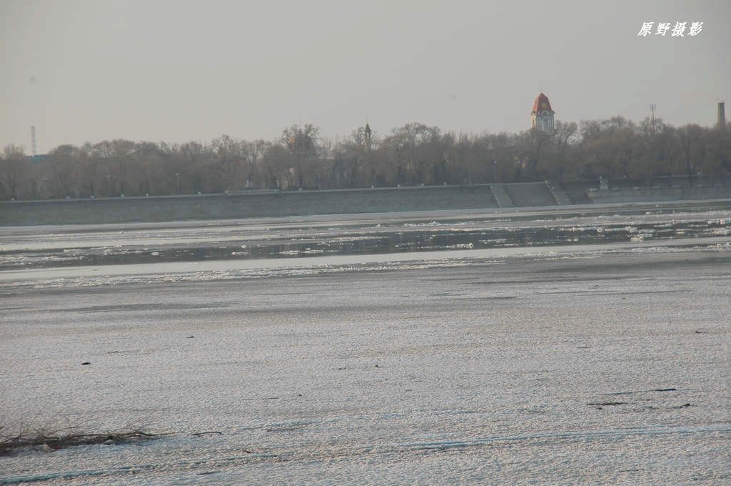 DSC_5935.jpg