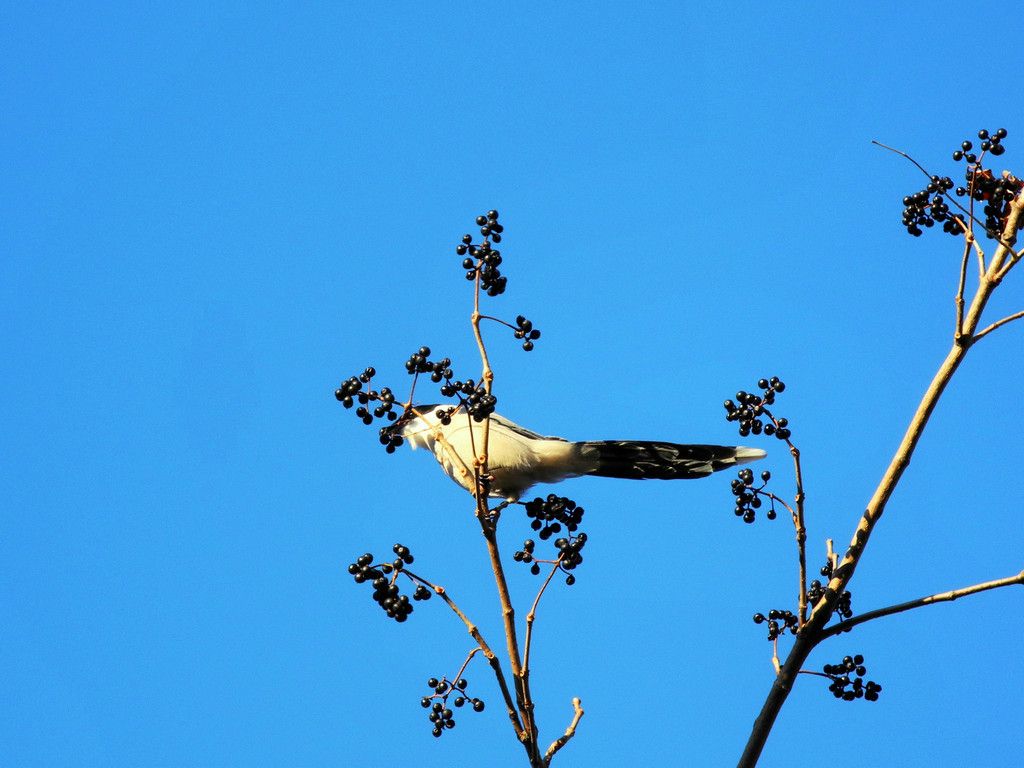 10.12���� 001.JPG