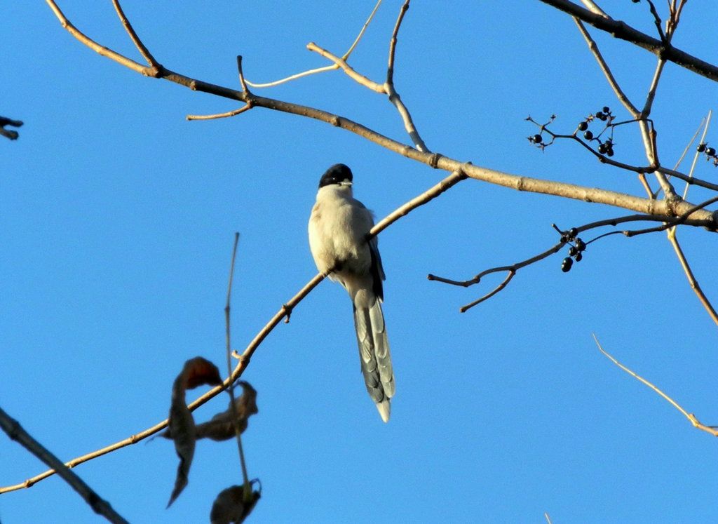 10.12���� 009.JPG