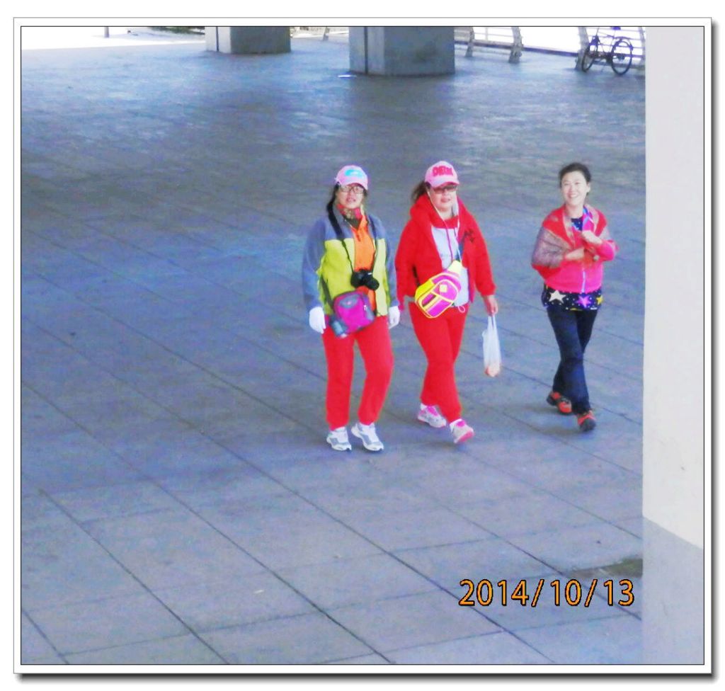 PA135327.jpg