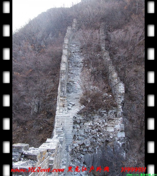 20081114_���۳���_075.jpg