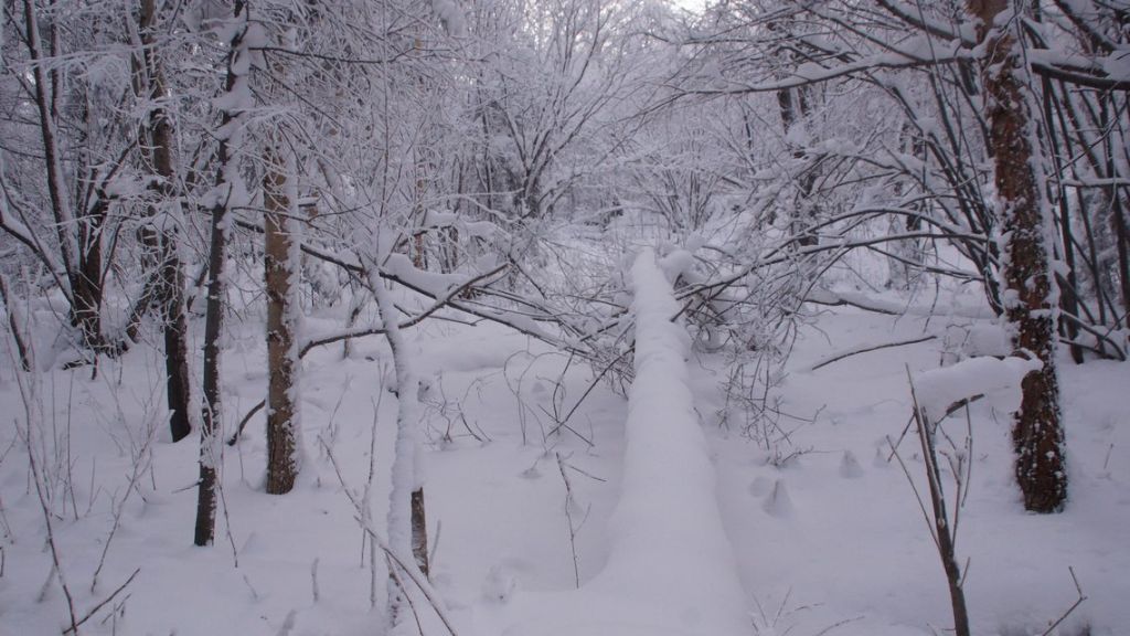 DSC06120.JPG