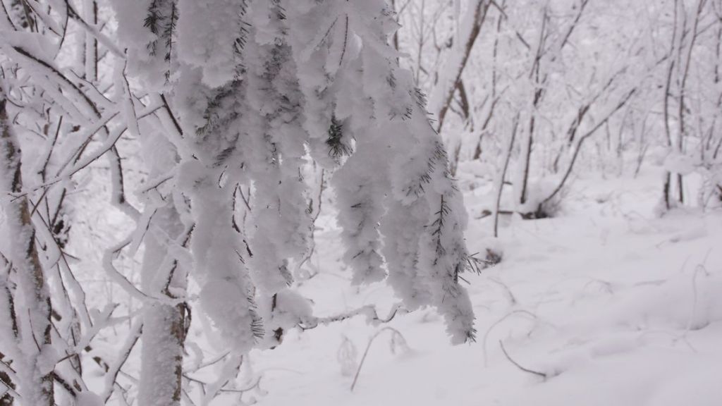 DSC06373.JPG