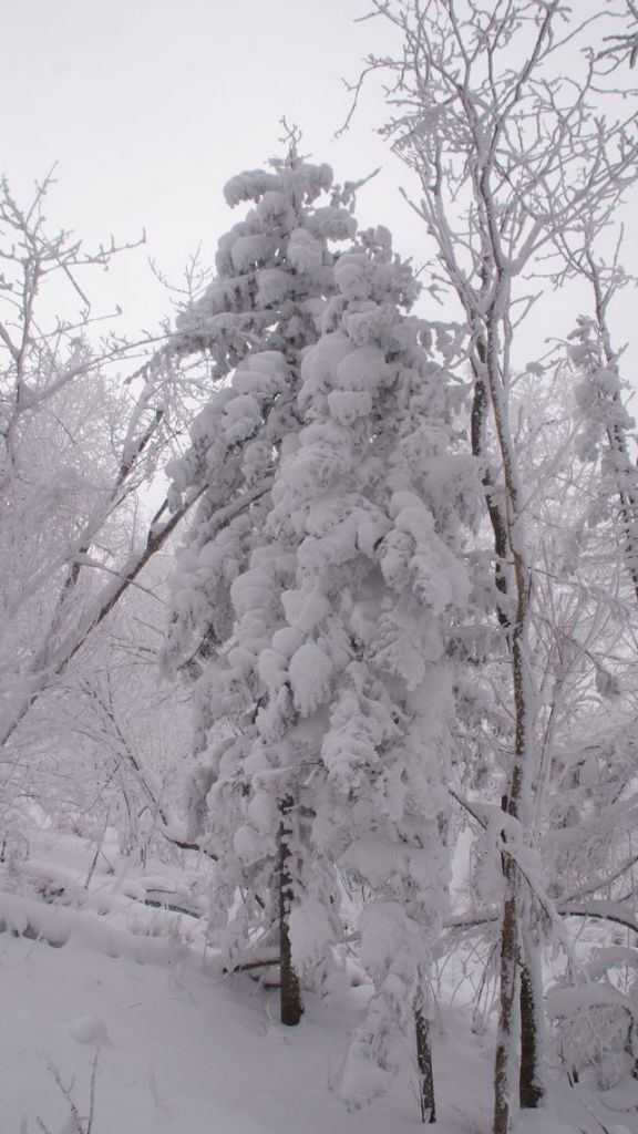 DSC06389.JPG