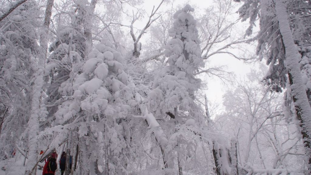 DSC06350.JPG