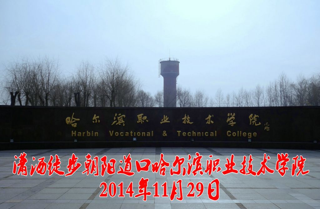 DSC01_����.JPG