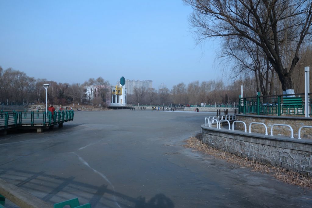 DSC06043.JPG