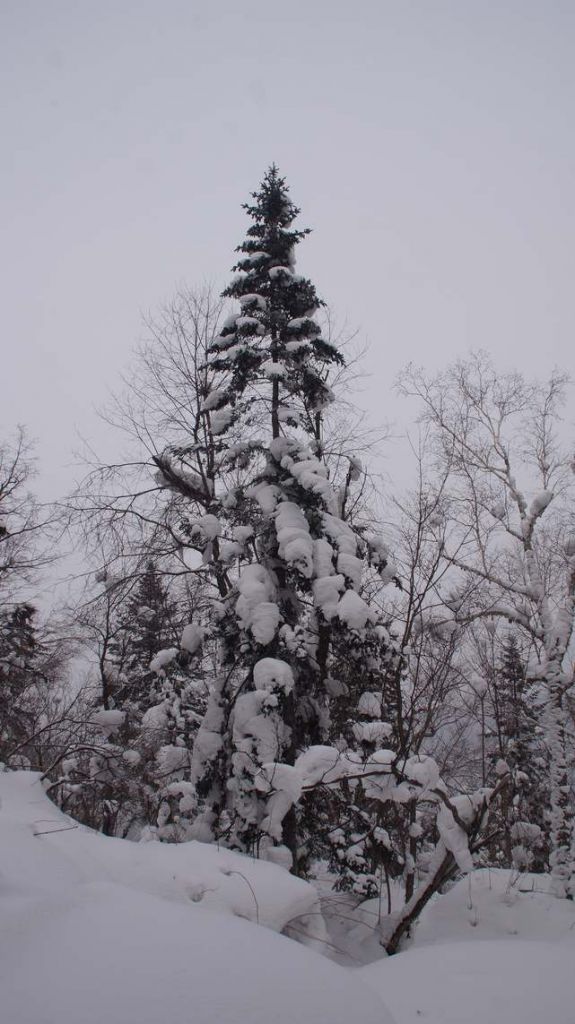 DSC04595.JPG