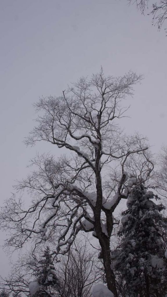 DSC04742.JPG