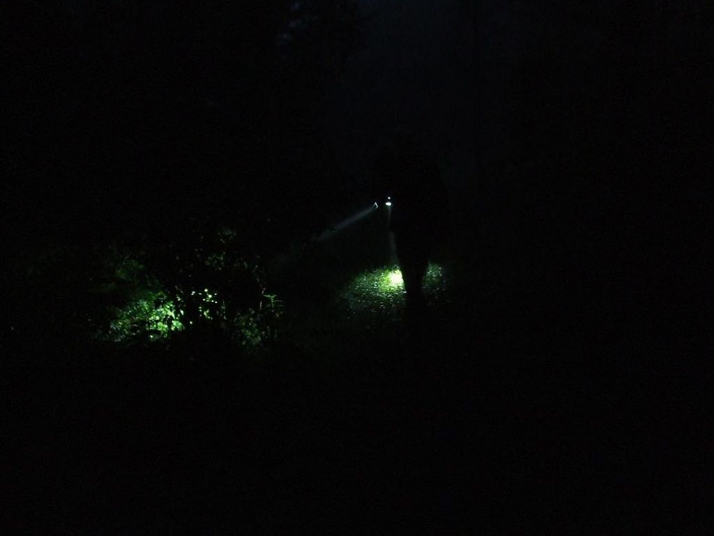DSCF7590.JPG