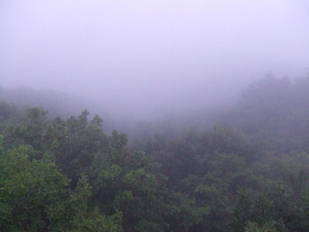 DSCF7614.JPG