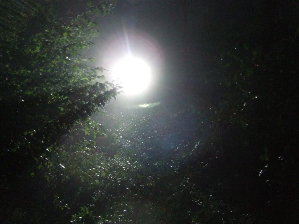 DSCF7589.JPG