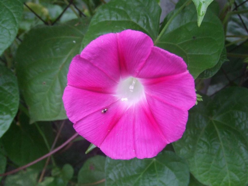 DSCF7661.JPG