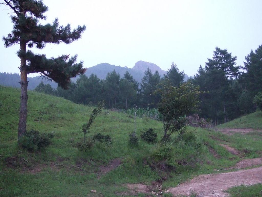 DSCF7453.JPG
