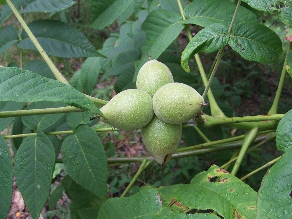 DSCF7542.JPG