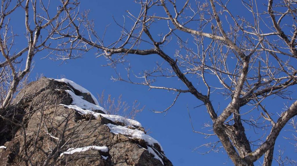 DSC05373.JPG