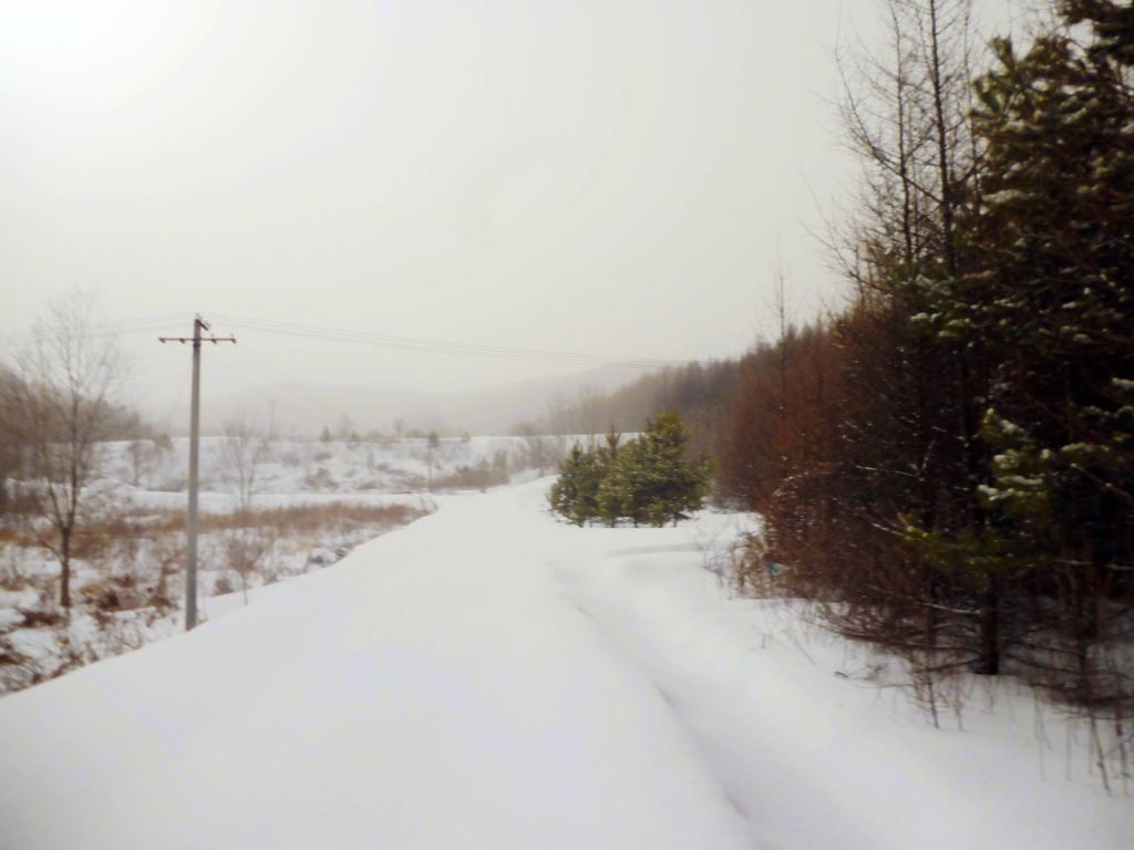 P1060200.jpg