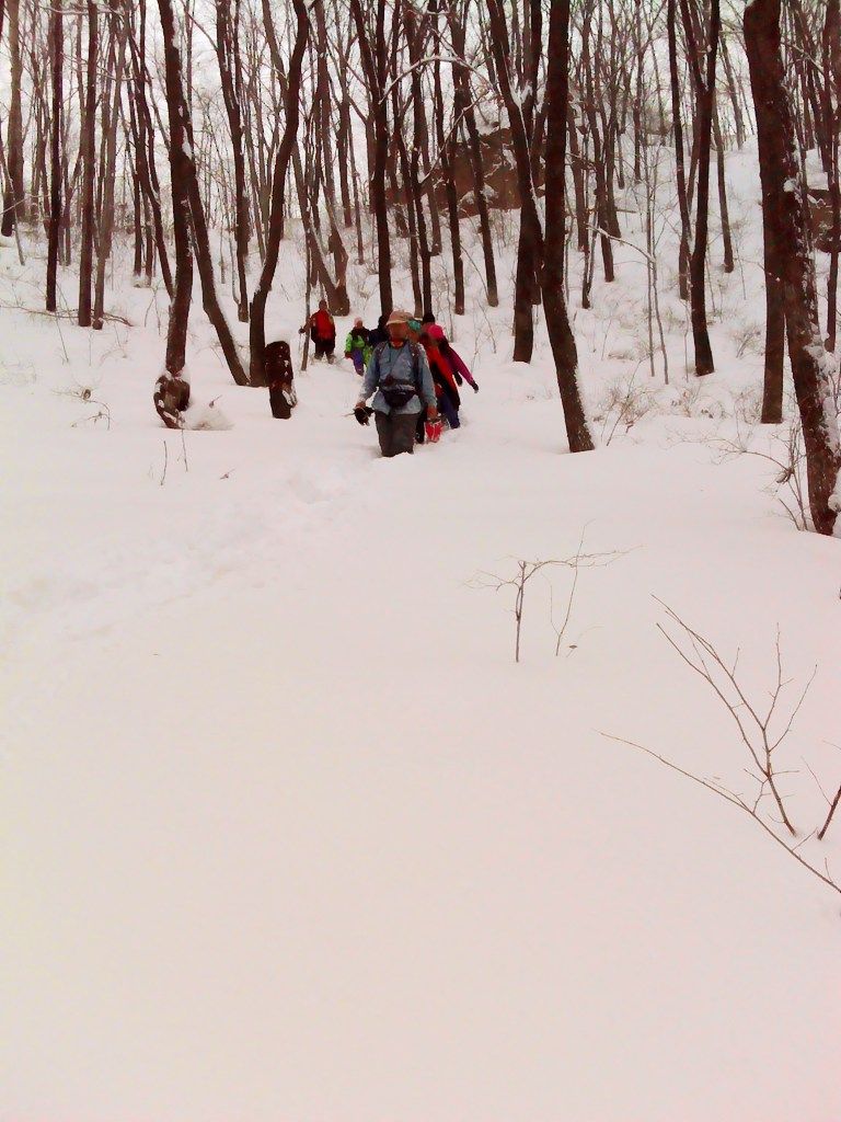 DSC04830.jpg