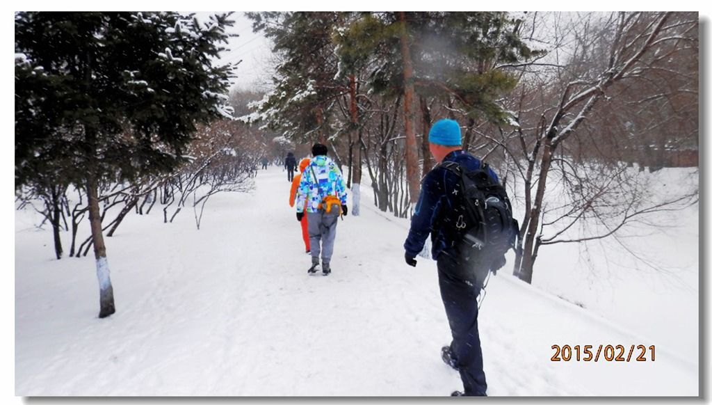 P2211738.jpg