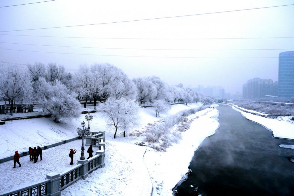 DSC06760.JPG