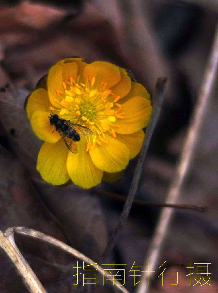 DSC_0177_����.jpg