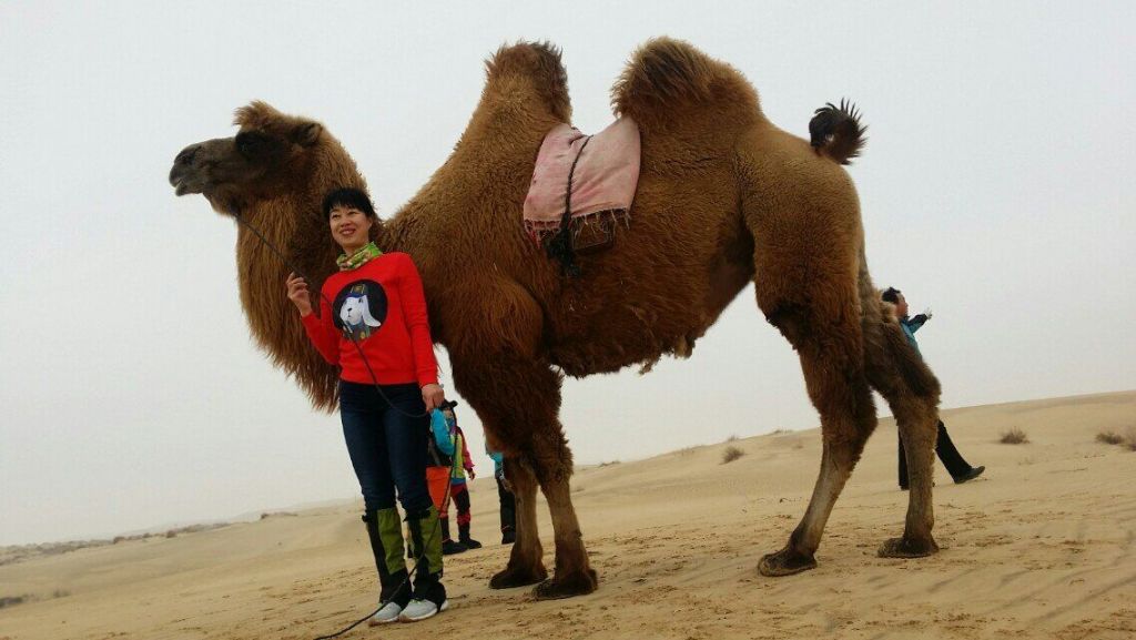 QQͼƬ20150408114708.jpg