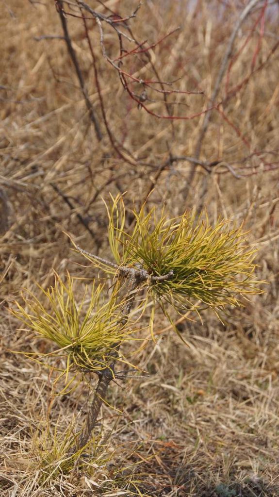 DSC04311.JPG