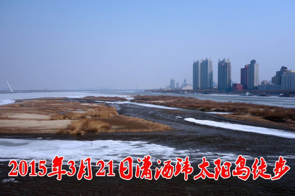 DSC01_����.JPG