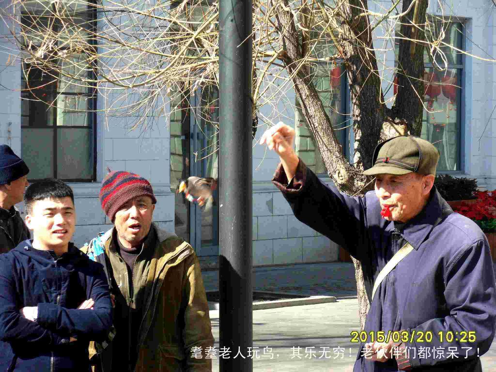 SDC15099_����.jpg
