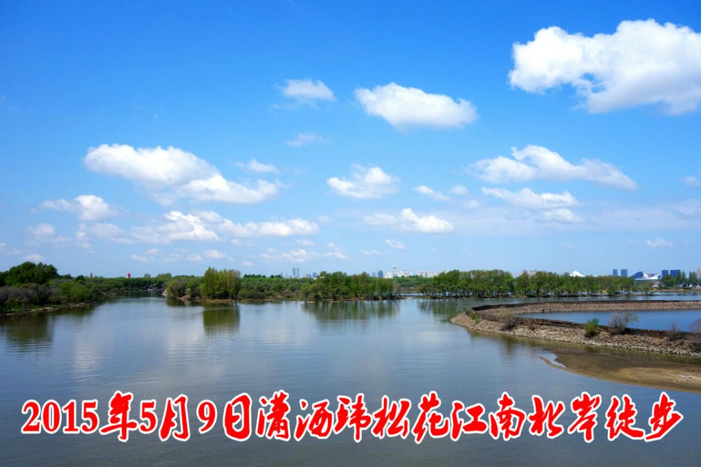 DSC01_����.JPG