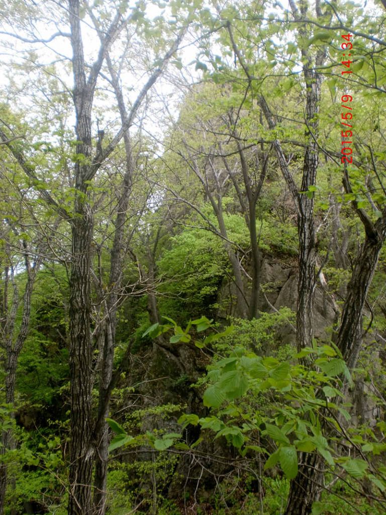 CIMG0900.JPG