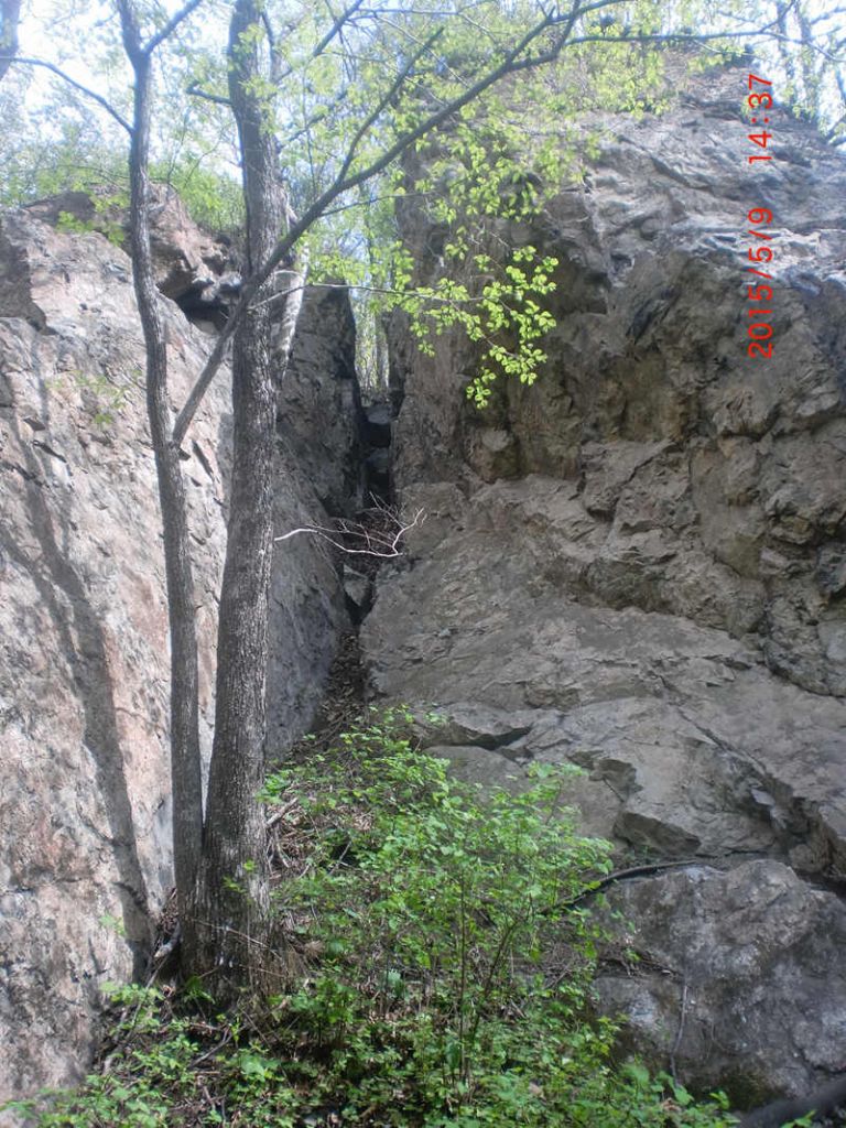 CIMG0905.JPG