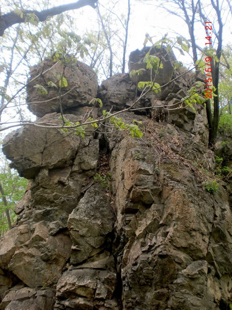 CIMG0860.JPG